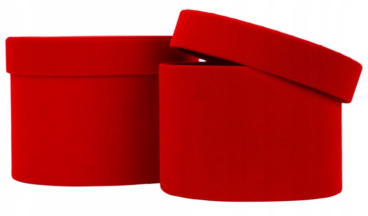 2X Flower Box Welur Pudełko Na Kwiaty Czerwone Red