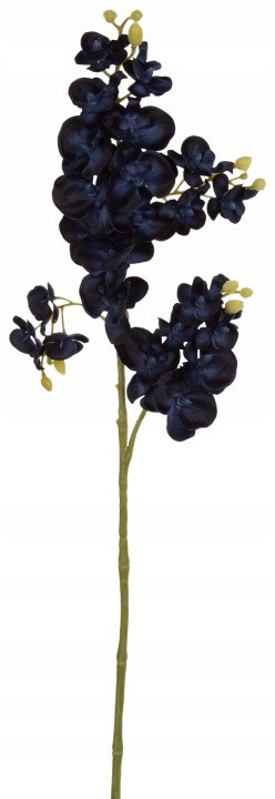 Storczyk Orchidea Blue Black Gałązka 72 Cm Kwiaty Sztuczne