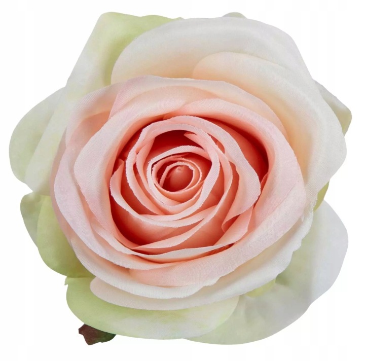 Róża Wyrobowa Lt Pink Lt Green 12 Szt Główka Kwiatowa