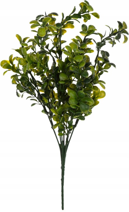 Bukszpan Zielony Bukiet 32 Cm Borówka Kwiaty Sztuczne
