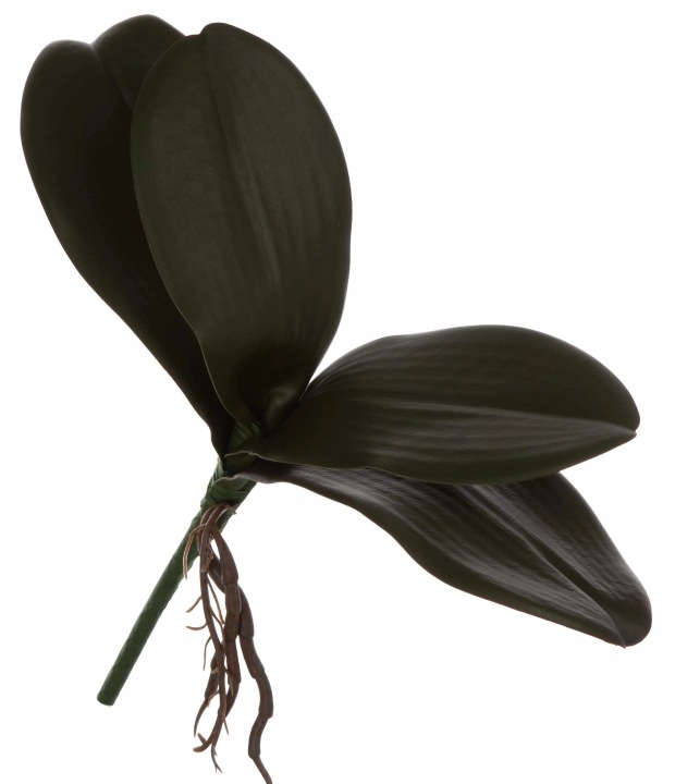 Liść Gumowy Storczyk Orchidea 26 Cm Liście Sztuczne