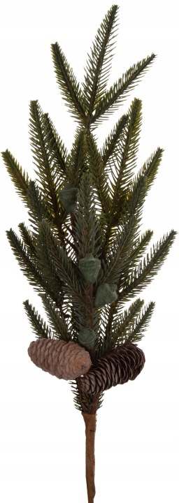 Jodła Iglak Gałązka 57 Cm Dodatek Do Kompozycji