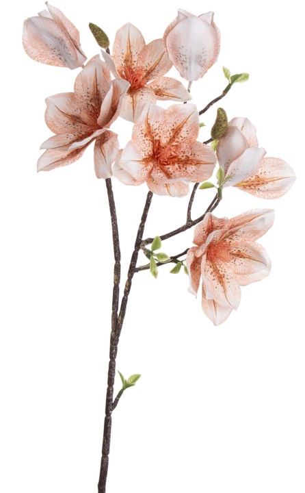 Magnolia Beżowa Gałązka 86 Cm