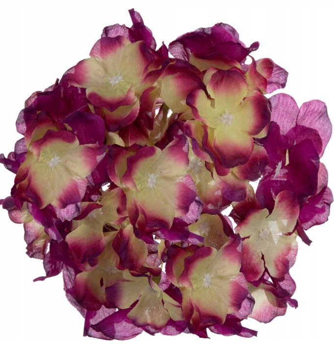 Hortensja Purple Główka Wyrobowa Duża