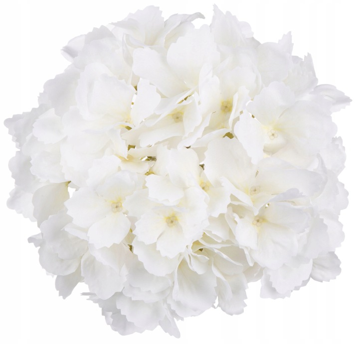 Hortensja Cream Kremowa Główka Wyrobowa 20 Cm Kwiaty Sztuczne
