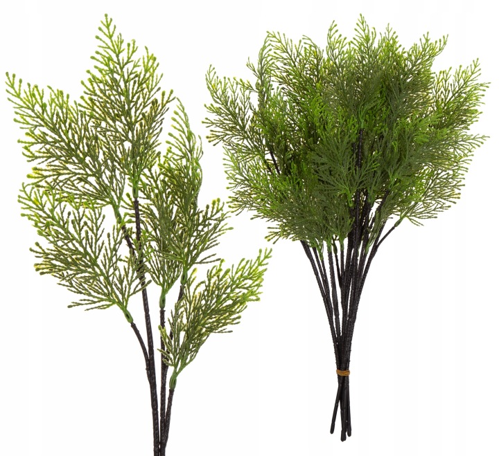6X Tuja Iglak Gałązka Do Kompozycji 54 Cm