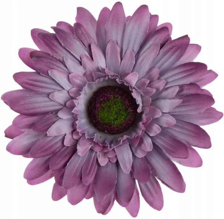 24 Szt. Gerbera Grape Fioletowa Główka Wyrobowa