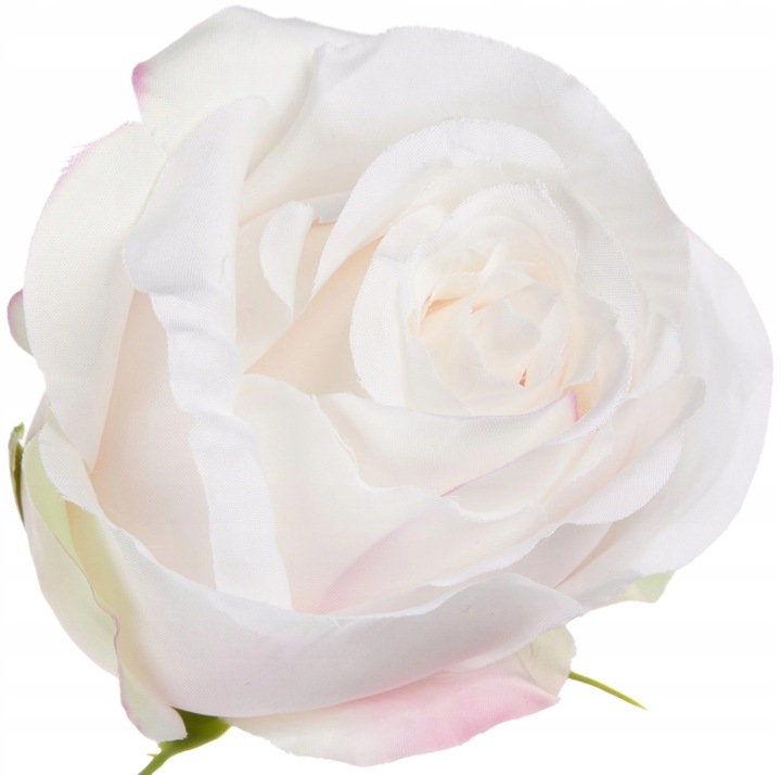 12 SZT. RÓŻA WYROBOWA CREAM POWDER PINK KREM RÓŻ GŁÓWKA KWIATOWA