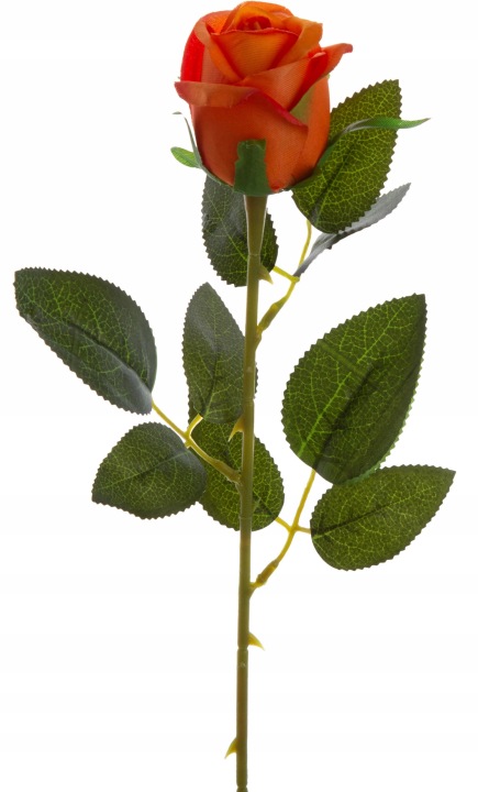 Róża Gałązka 62 Cm Pomarańczowa