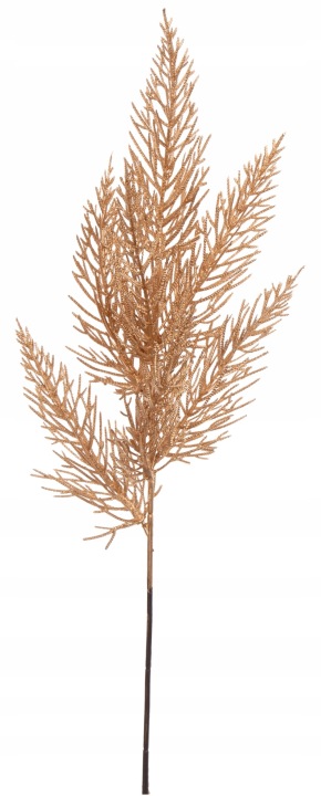Tuja Złota Iglak Gałazka Do Kompozycji 47 Cm