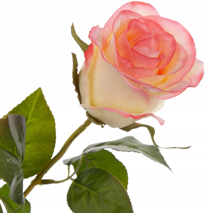 Róża Cream Pink Gałązka Łodyga 72 Cm Kwiaty Sztuczne