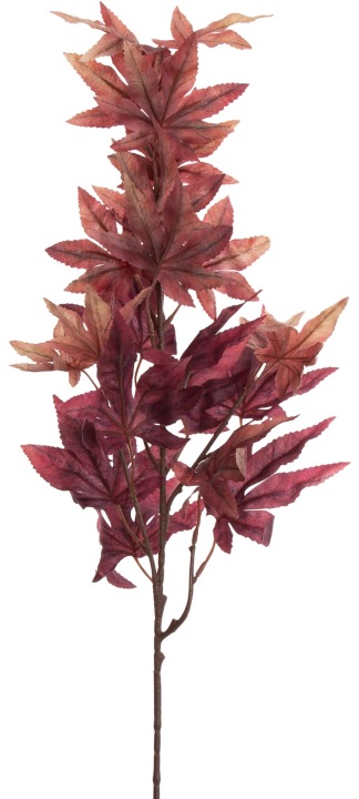 Klon Japoński Lt. Burgundy Gałązka Liściasta Ozdobna 80 Cm Kwiaty Sztuczne