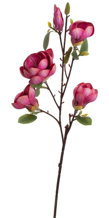 Magnolia Różowa Fuksja Pianka Gałązka 89 Cm