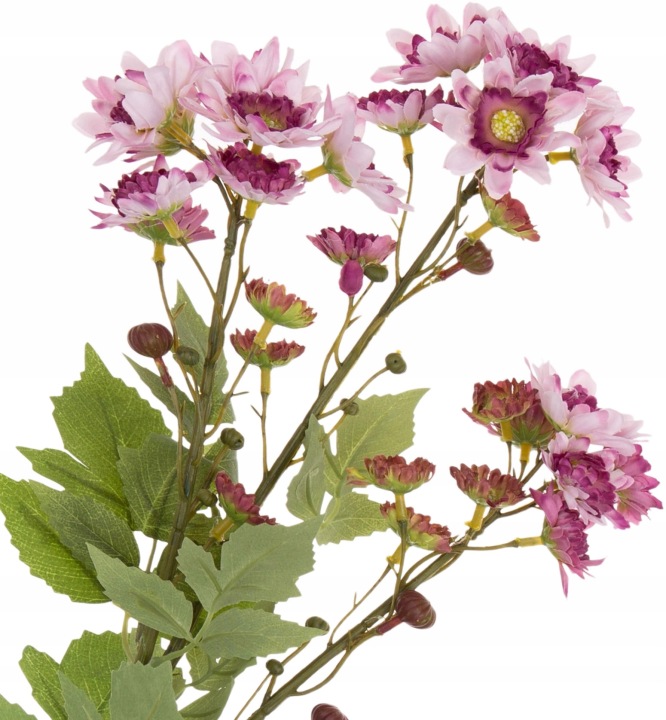Chryzantema Margaretka Dąbek Lavender Lawendowa Gałązka 76 Cm