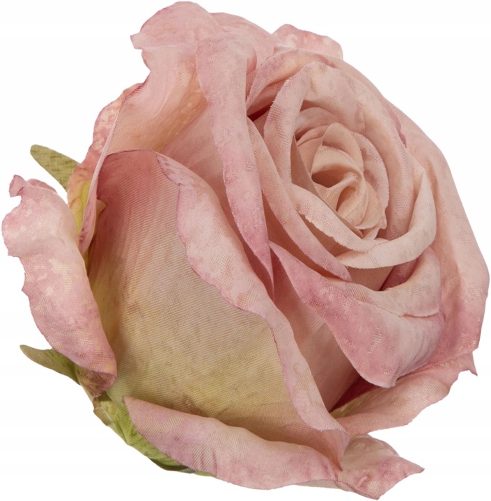 12X Róża Główka Wyrobowa Powder Pink