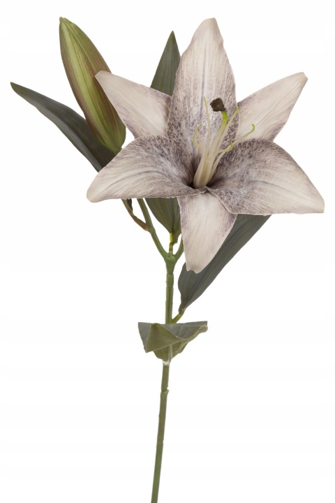 Lilia Gałązka Szaro - Beżowa 51 Cm
