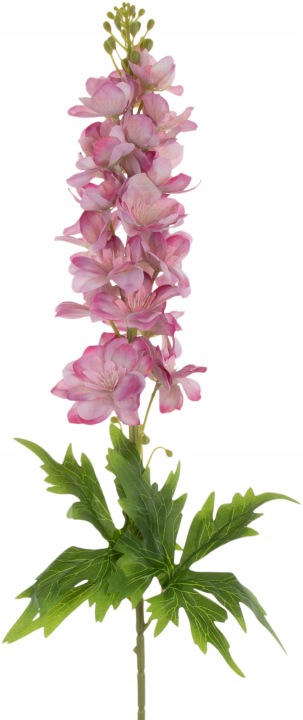 Ostróżka Różowa Gałązka 88 Cm