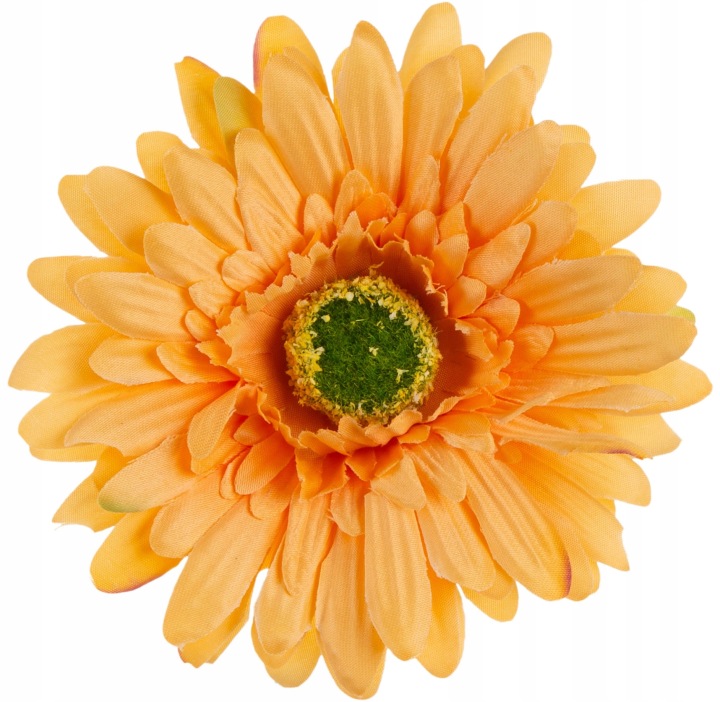 24 Szt. Gerbera L. Tea Pomarańczowa Główka Wyrobowa