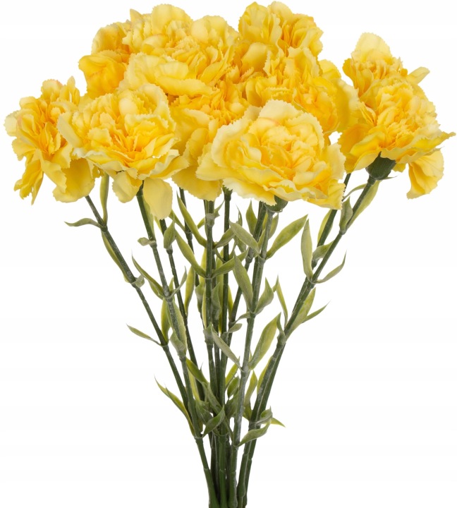 12X Goździk Gałązka Żółty Lt Yellow 67 Cm