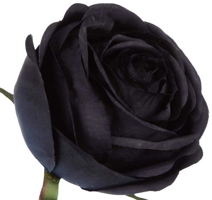 12 SZT. RÓŻA BLACK BLUE CZARNA GRANATOWA GŁÓWKA KWIATOWA WYROBOWA