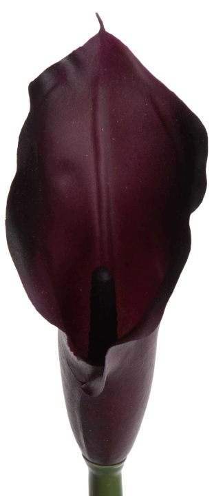 Kalia Gumowa Burn Plum Fioletowa Gałązka 71 Cm