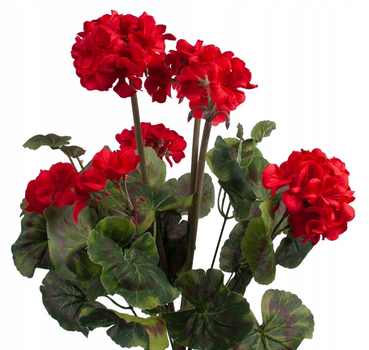 Pelargonia Czerwona Rabatowa Stojąca Kwiaty Sztuczne 46Cm