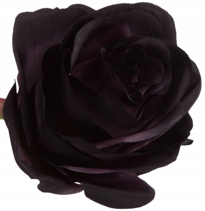 Róża Wyrobowa Szara Czarna Grey Edge Black 12 Szt Główka Kwiatowa
