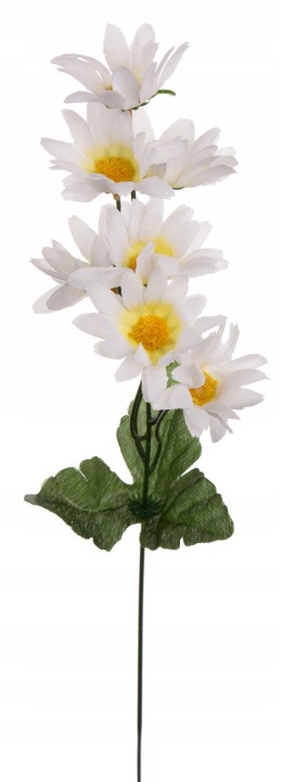Rumianek Margaretka Kwiaty Polne Gałązka 48Cm