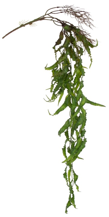 Trawa Pogięta Zwis 115 Cm