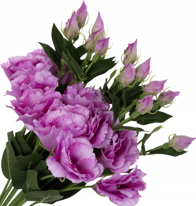 12X EUSTOMA PINK EDGE LT.PINK GAŁAZKA 48 CM