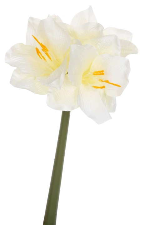 Amarylis Kremowy 47 Cm Kwiaty Sztuczne