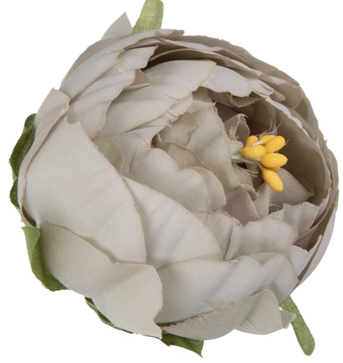 12X Peonia Piwonia Zielona Główka Wyrobowa