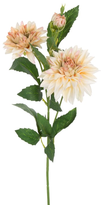 Dalia Vanilla Lt Olive Gałązka 67 Cm Kwiaty Sztuczne