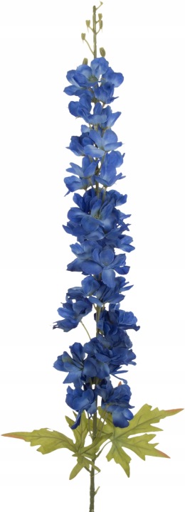 Ostróżka Blue Niebieska Gałązka 118 Cm