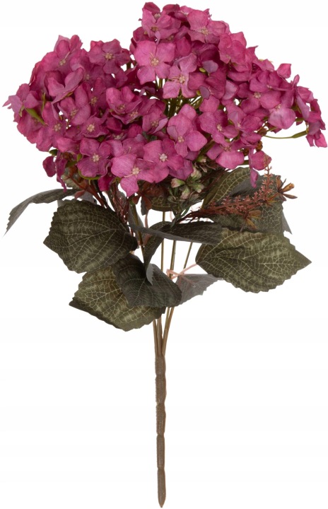 Hortensja Fuksja Bukiet 40 Cm