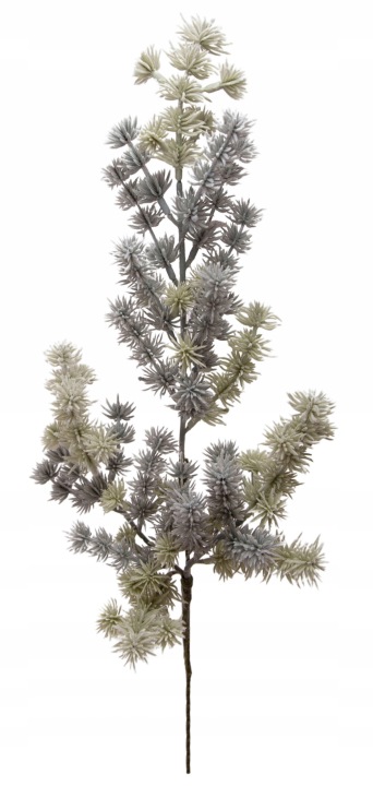 Cedr Gałązka Iglak 41 Cm
