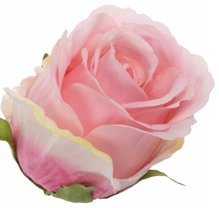 12X Róża Główka Wyrobowa Beauty Różowa