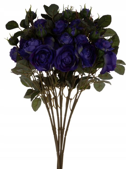 Dzika Róża Fioletowa Bukiet 6 Gałązek 50 Cm Ultra Violet