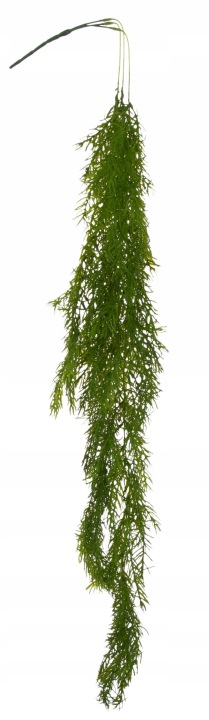 Asparagus Zwis Pnącze 105 Cm Kwiaty Sztuczne