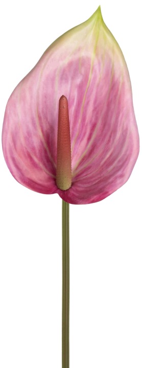 Anturium Różowe 84 Cm Kwiaty Sztuczne
