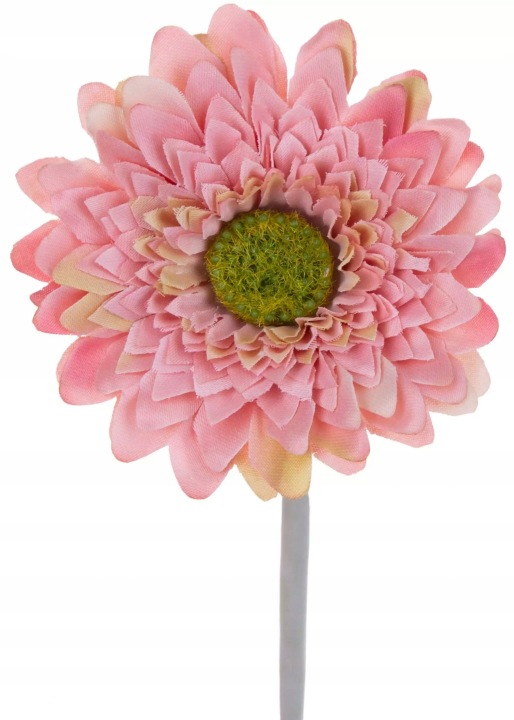 Gerbera Różowa Gałązka 37 Cm Łodygowa