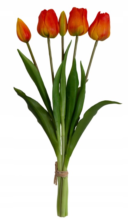 Tulipan Bukiet Tulipanów 5 X Pomarańczowe Gumowe