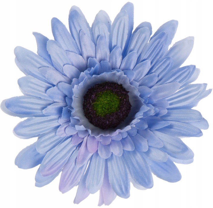 24 Szt. Gerbera Lt Blue Niebieska Główka Wyrobowa