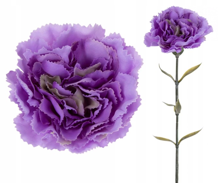 12X Goździk Gałązka Violet Green Fioletowy 67 Cm