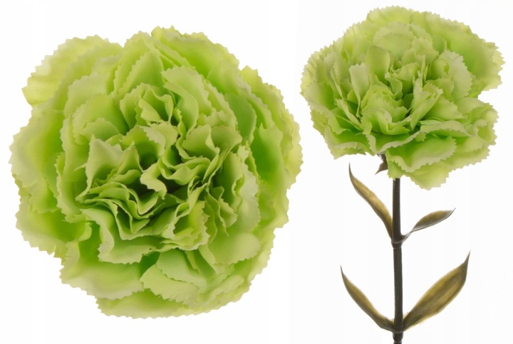 12X Goździk Gałązka Powder Green J. Zielony 67 Cm