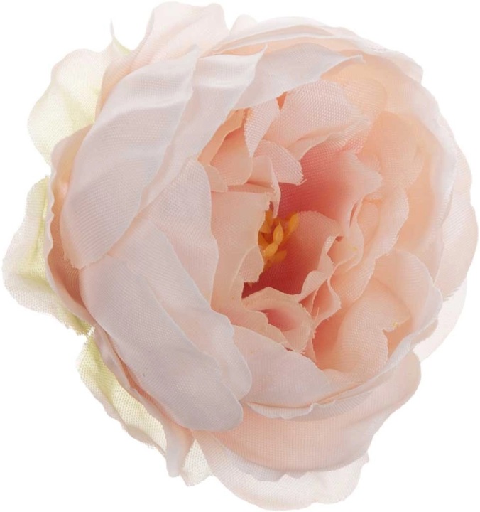 24X Peonia Pełnik Jaskier Główka Wyrobowa J. Brzoskwinia