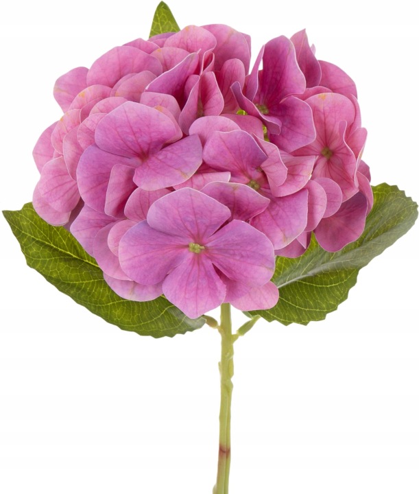 Hortensja Różowa Gałązka 35 Cm