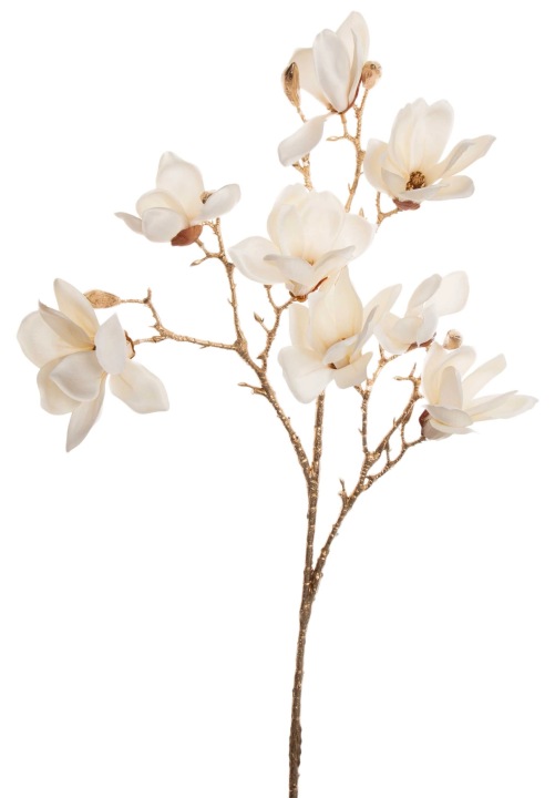 Magnolia Złota Łodyga Kwiaty Jasny Krem 86 Cm