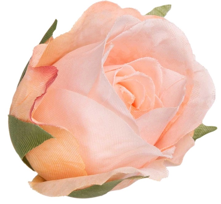 24 Szt. Róża Cream Peach Główka Kwiatowa Wyrobowa