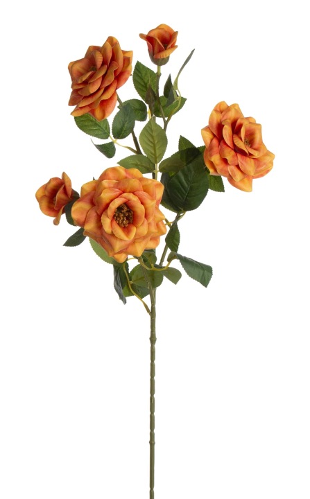 Dzika Róża Gałązka Pomarańczowa Orange 82 Cm